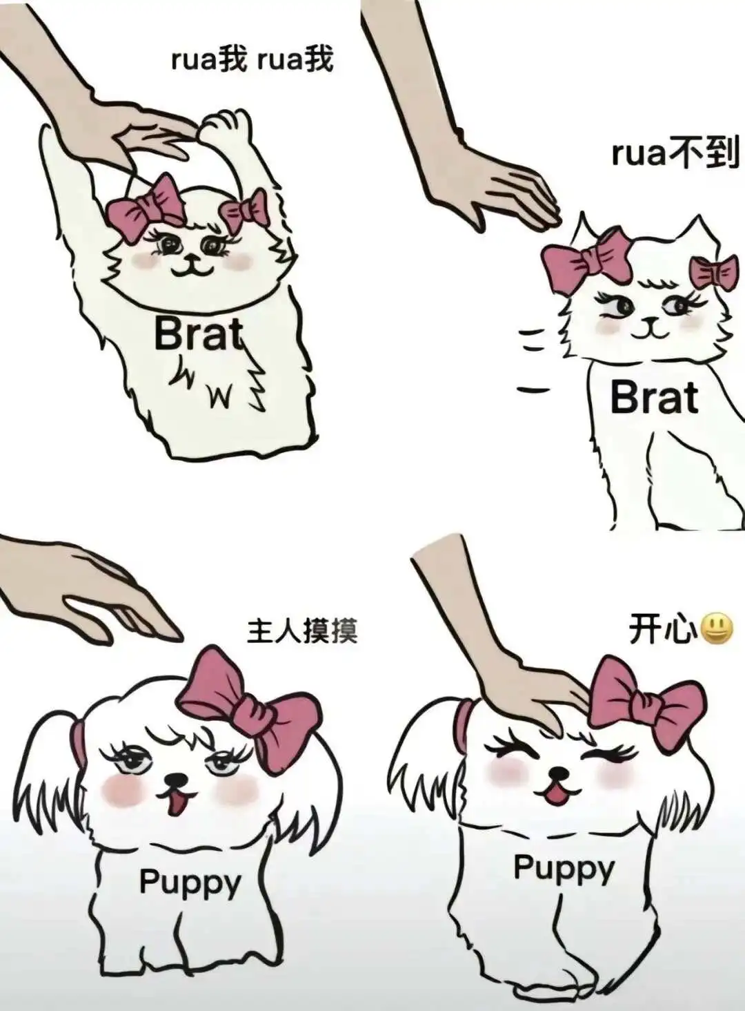 西檬之家k8是什么?解密这一新兴趣味及其背后的意义! 一