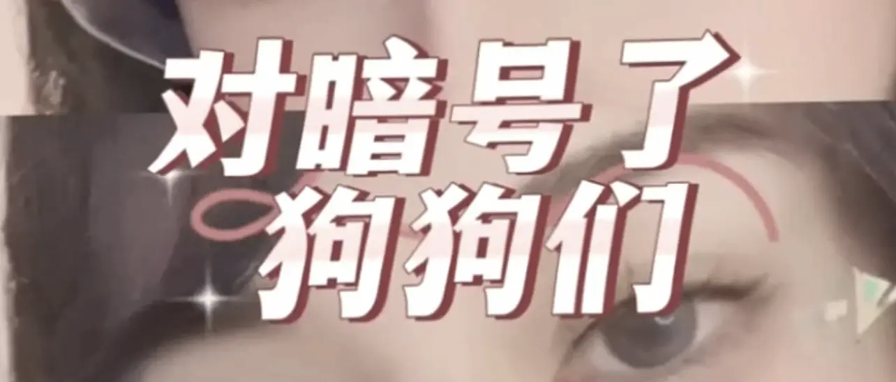 西檬之家字母圈中的DOM角色解析与实践指南 一