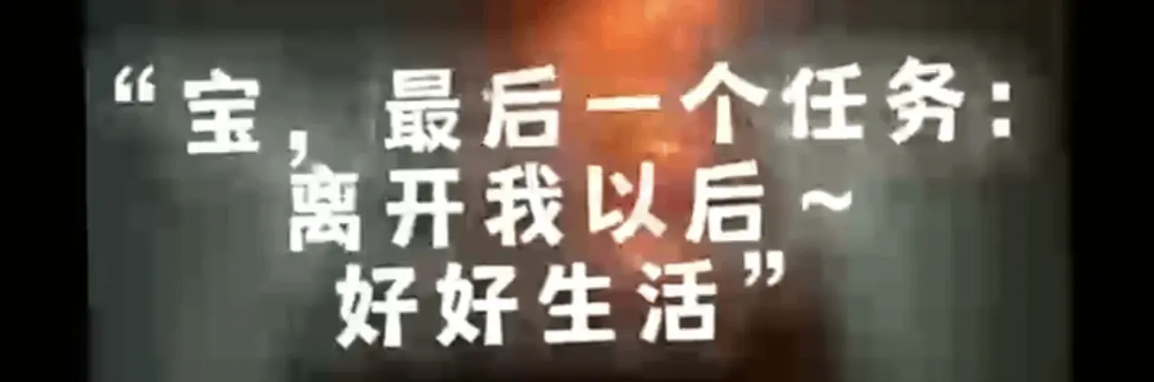 西檬之家k9犬系是什么?探索你的字母圈角色与属性 一