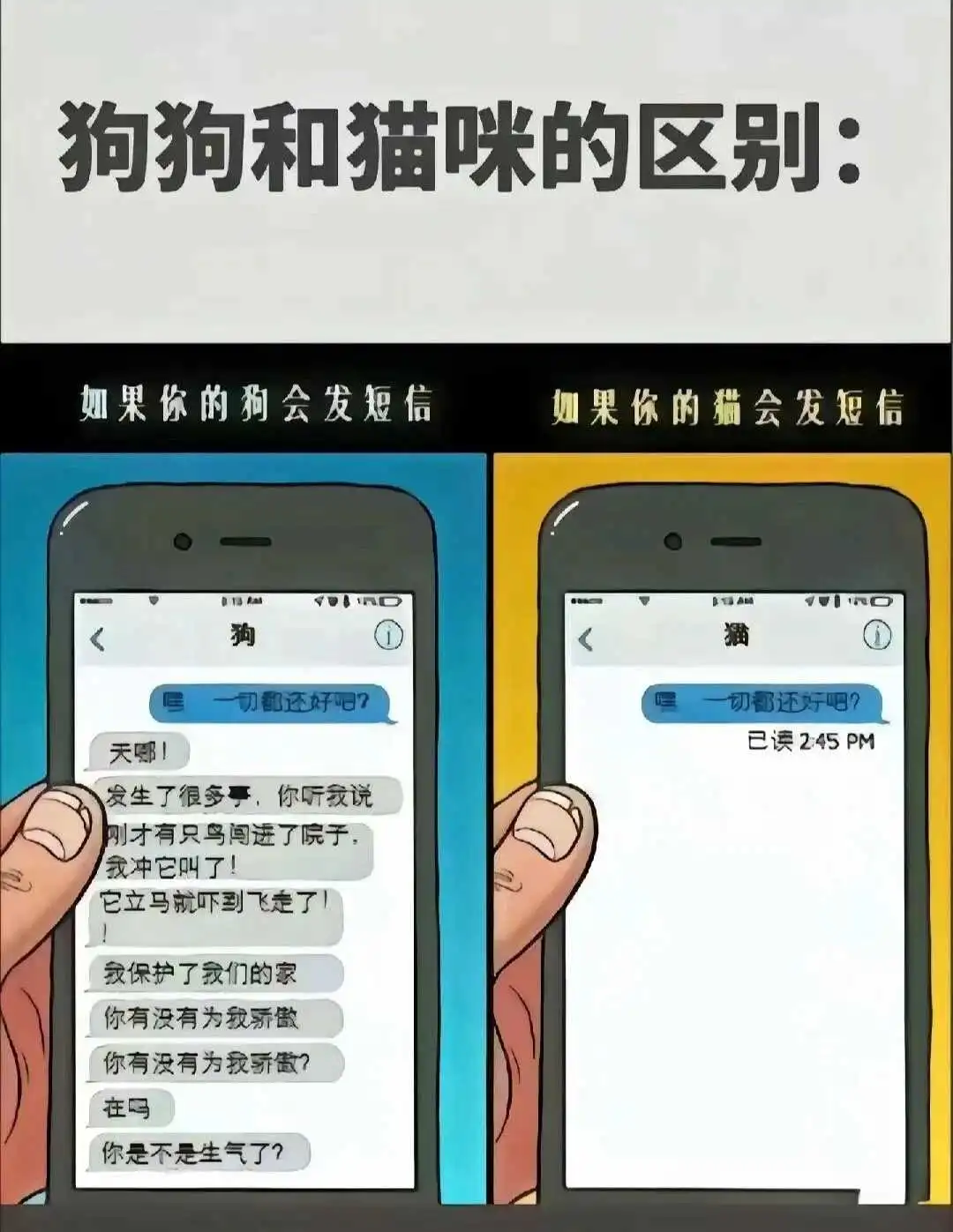西檬之家探索sm亚文化:入门者必备指南与注意事项 一