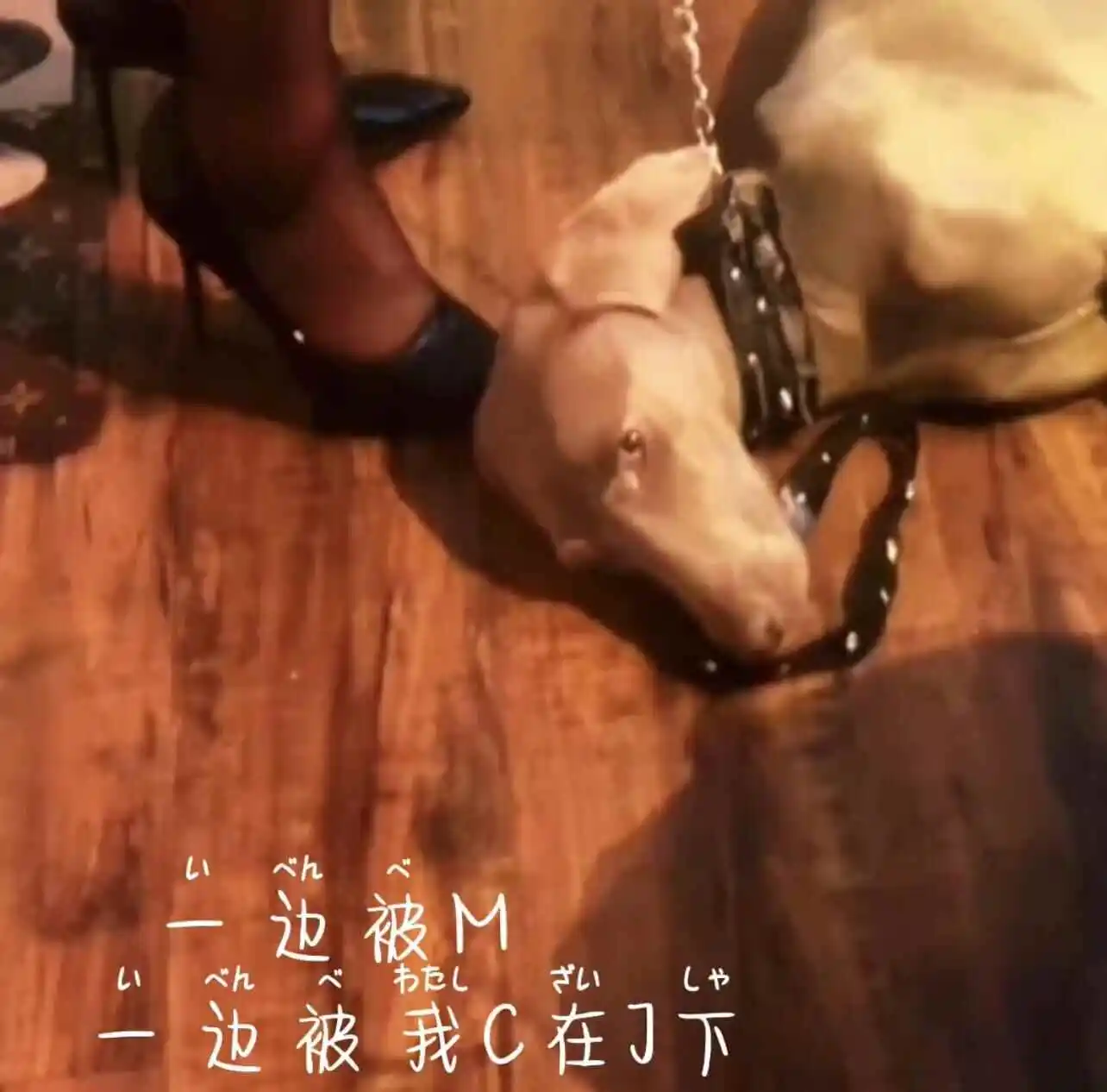 西檬之家Tickle游戏怎么玩?字母圈新人必看指南 一