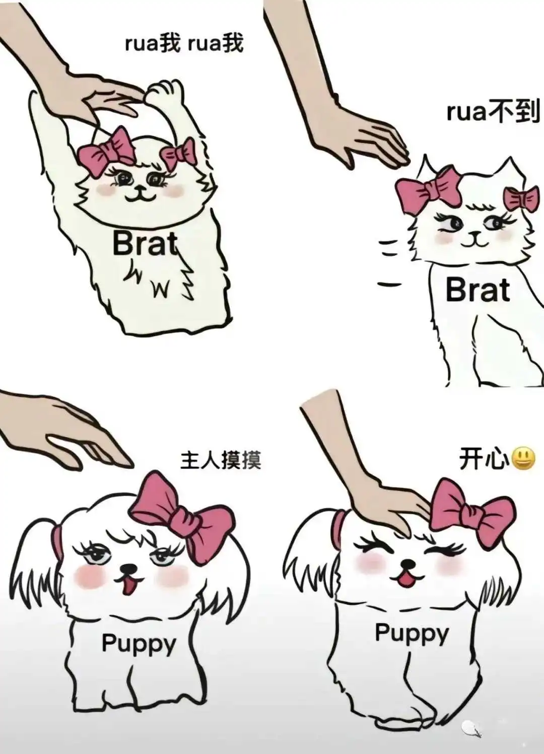 西檬之家字母圈中的安全词究竟是什么? 一