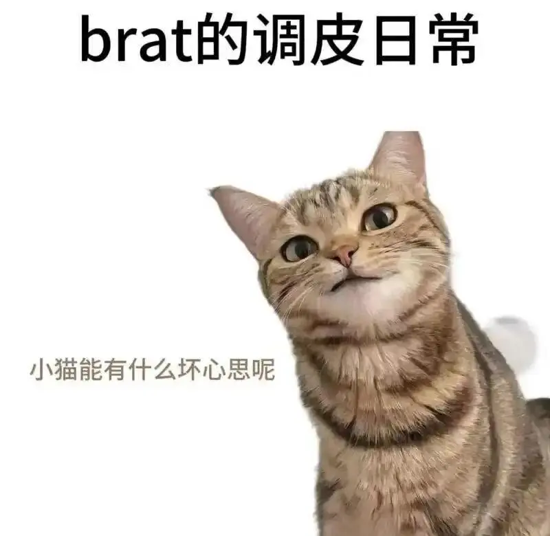 西檬之家女王在字母圈中的角色与权力动态解析 一