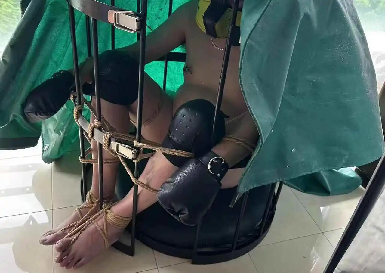 西檬之家M倾向的深度解析与实践指南 一