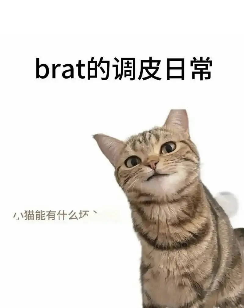 西檬之家Dirty Talk是什么?字母圈新人必知的沟通技巧 一