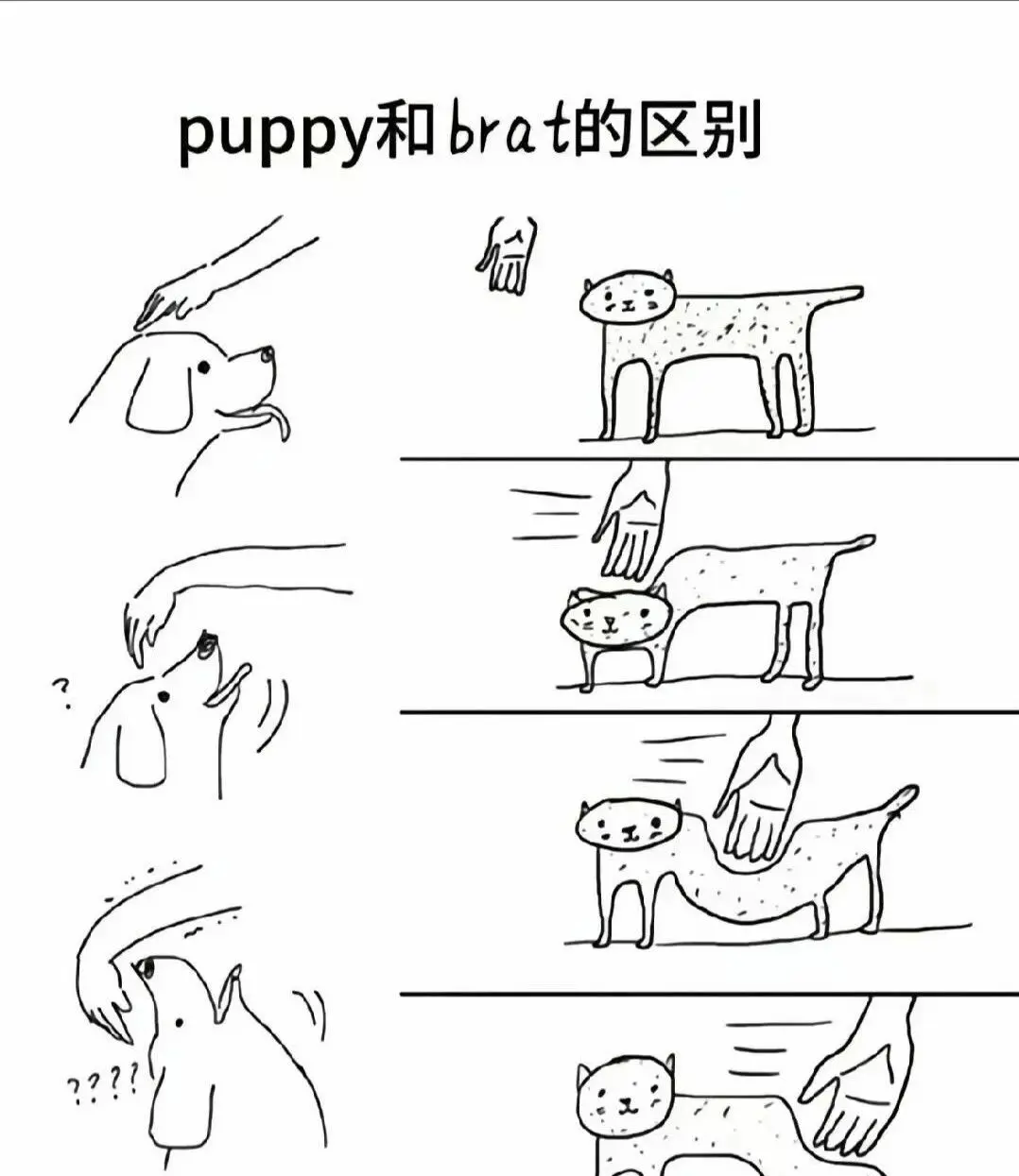 西檬之家m倾向解析:了解你的字母圈身份与欲望认同 一